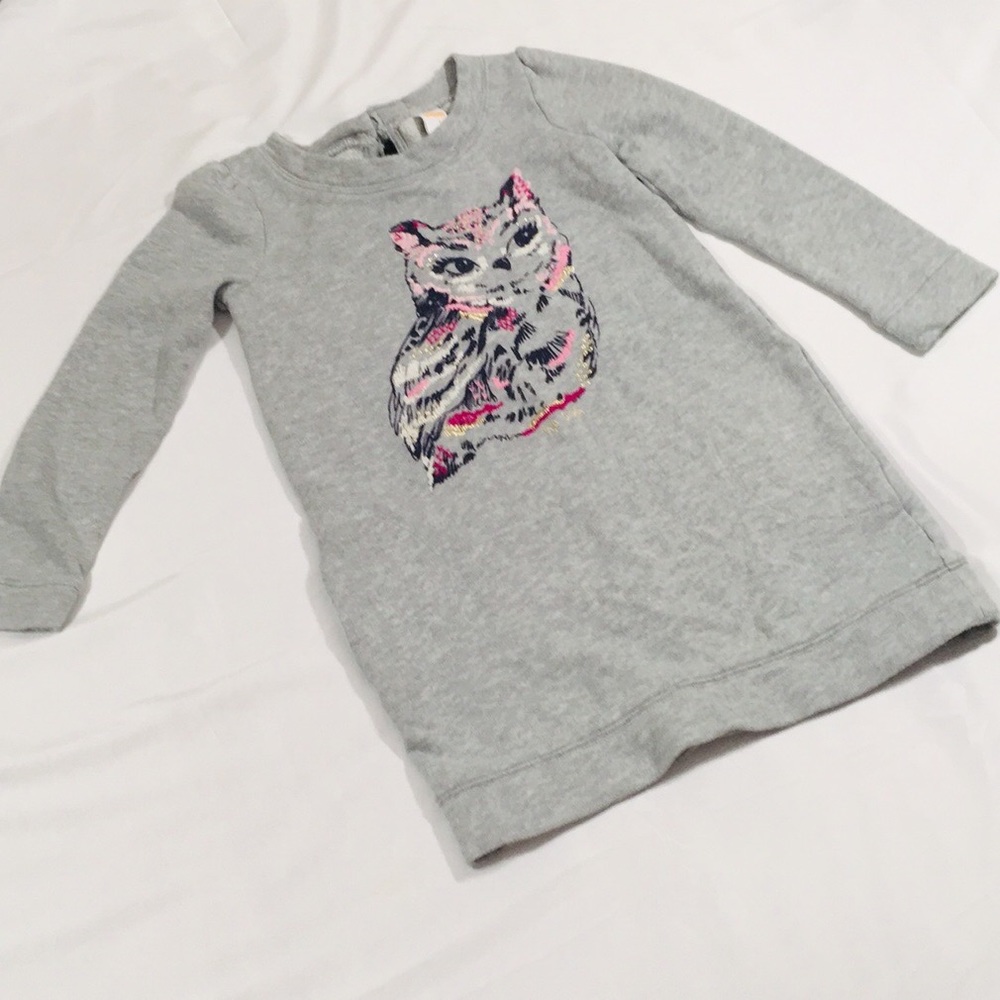Girl’s Gymboree Sweatshirt